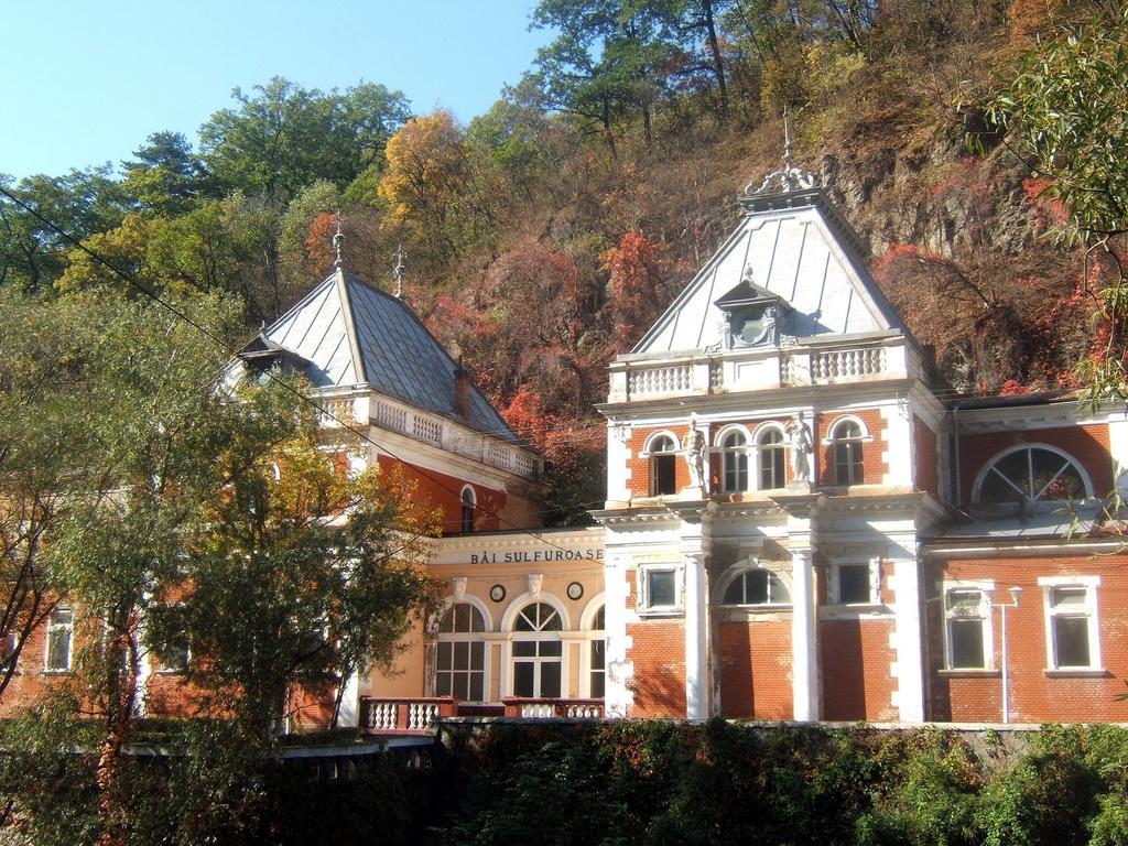 Pensiunea Floare De Colt Hotel Baile Herculane Exterior photo
